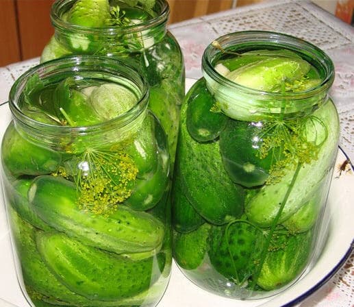 Canned Cucumber _gherkins_